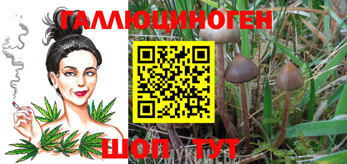 Заринск  Галлюциногенные грибы Psilocybine cubensis  Псилоцибиновые грибы Psilocybe  Вход с VPN 